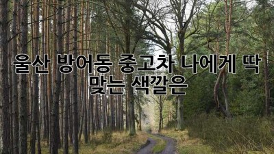 울산 방어동 중고차, 나에게 딱 맞는 색깔은?