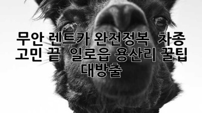 무안 렌트카 완전정복! 🚗 차종 고민 끝 & 일로읍 용산리 꿀팁 대방출 🍯