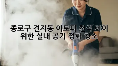 종로구 견지동 아토피, 천식 아이 위한 실내 공기 정화 청소